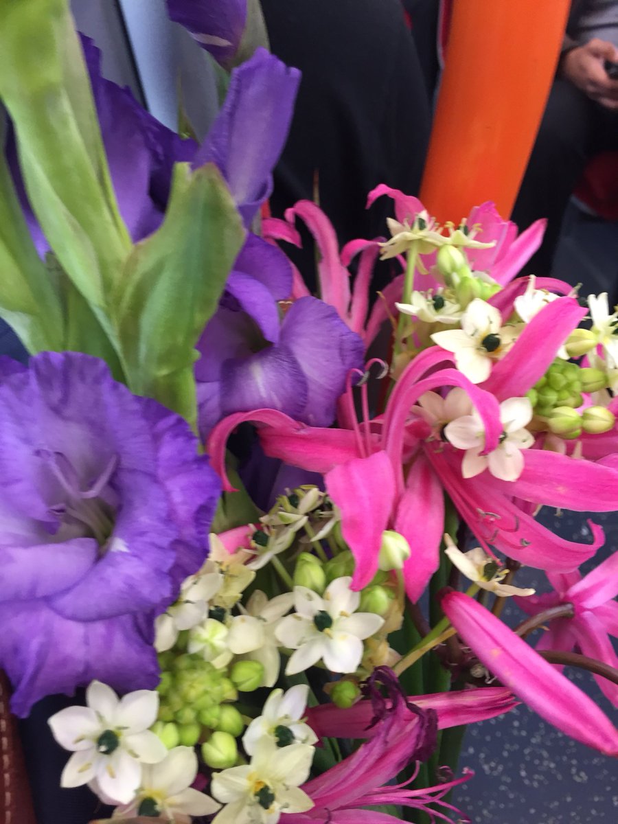 helengreen74's tweet photo. What travelling back from the #LandscapeShow looks like. Great day on the @LCGardenDesign stand, thanks to all who stopped by. And thank you @jubholland for the gorgeous flowers! https://t.co/9trfDl9rUY