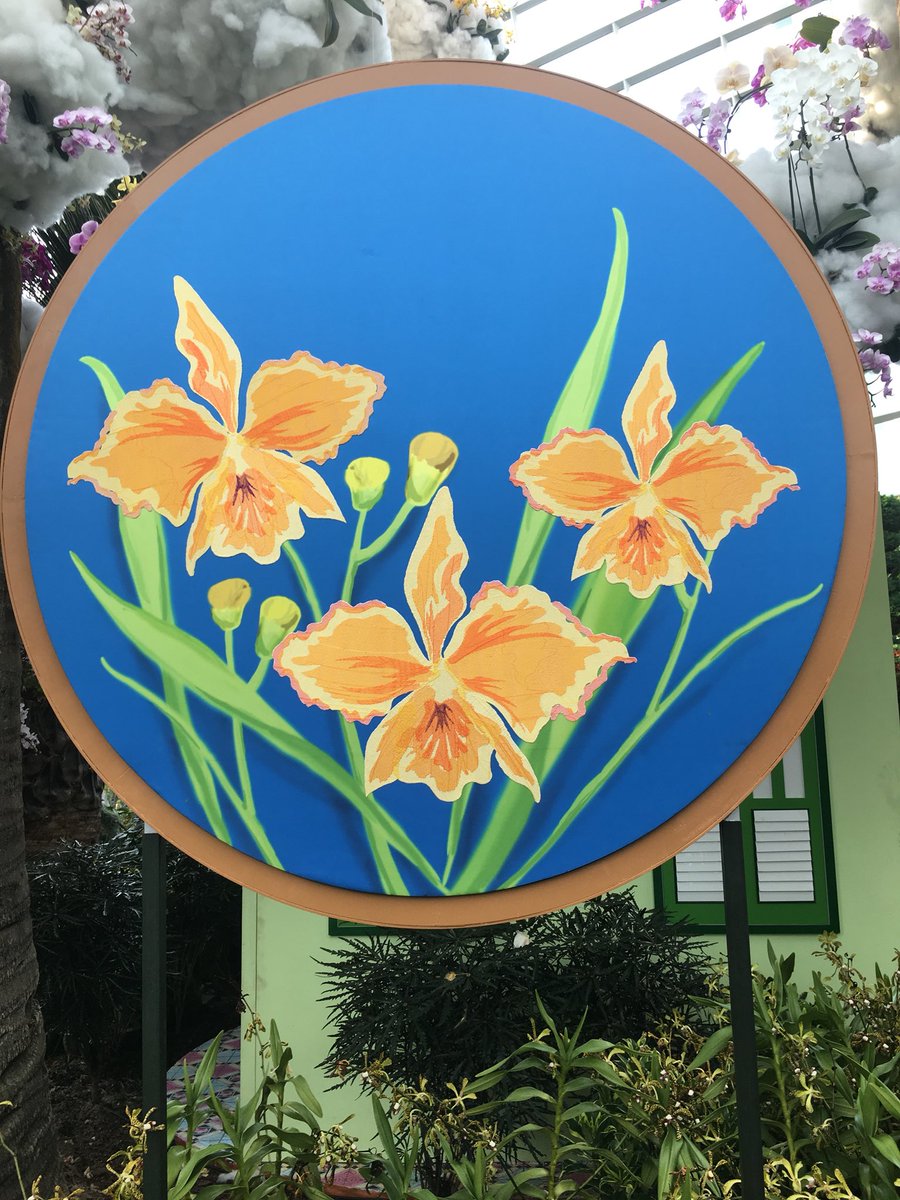 VandaStitch's tweet photo. These excellent embroidery artworks was created by Asia Emb Pte Ltd. You can visit the website https://t.co/6nGGHqM51e for more info. https://t.co/sYAHdNeDNM