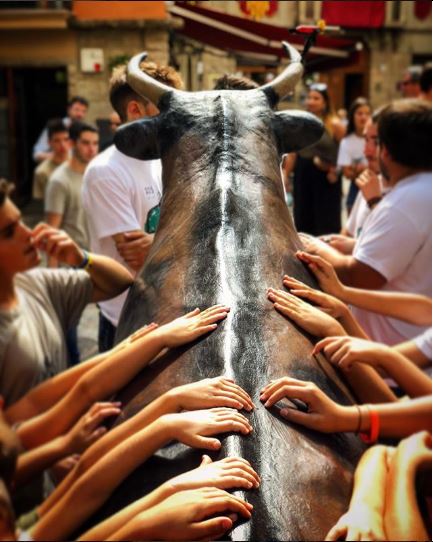 Solsona_cat's tweet photo. A votació fins diumenge les cinc fotos finalistes del Concurs fotogràfic de la #FestaMajor de #Solsona a Instagram #fmsolsona18 https://t.co/A39Vsao2kH https://t.co/hqV6fBEDnu