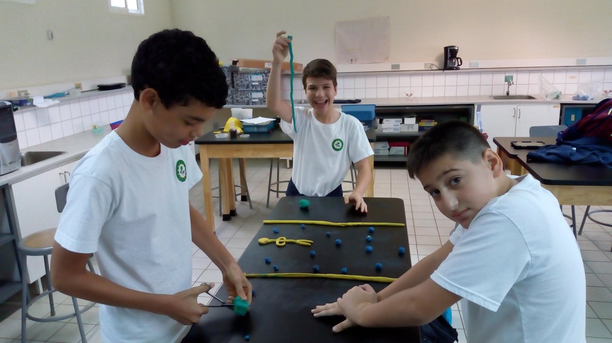 ismfoxwell's tweet photo. Using stop motion to make videos explaining diffusion and osmosis. https://t.co/Ci0SZWvXrc