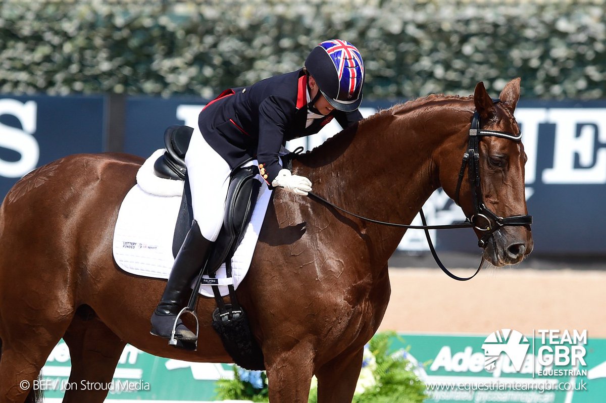 BritEquestrian's tweet image. Erin Orford gets her world championships underway with Dior, with a confirmed score of 68.853% 👏