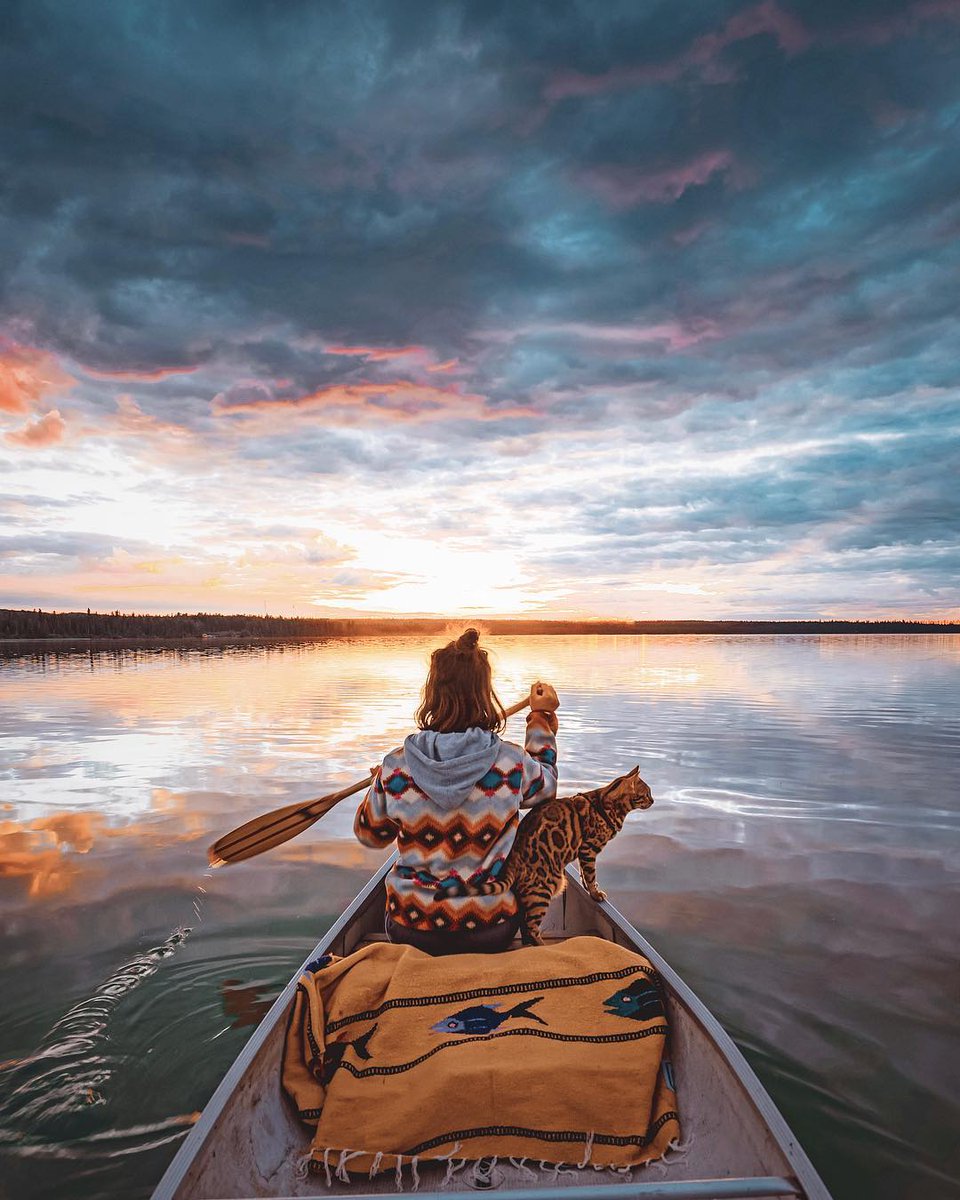 “When one door closes, another door opens; but we so often look so long and so regretfully upon the closed door, that we do not see the ones which open for us.” – Alexander Graham Bell, inventor of the telephone #WednesdayWisdom   
📷enchanted.forest/IG