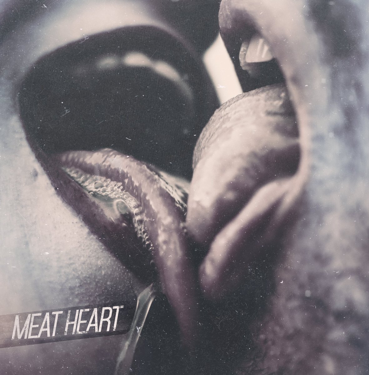 Meat Heart beats