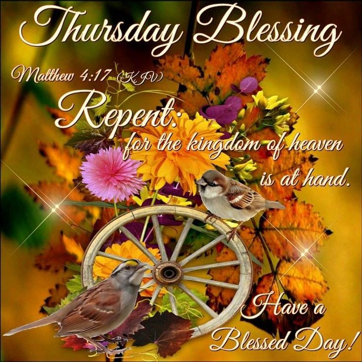 Blessed Thursday ADN and Happy #ALDUB166thWeeksary 
<a href="/chie_chie26/">AKO PO SI🐨CHIEˢᵉⁿᵗᶦ²⁰¹⁶❤</a> <a href="/zenkmm/">🌼ƵȇƞⓉⒾⒺⓂ︎ⓄⓈ</a> <a href="/timmygano/">Timzkieˢᵉⁿᵗⁱᴱ²⁰¹⁶</a> <a href="/ellina_gen/">Ellina Gen ˢᵉⁿᵗᶦ²⁰¹⁶</a> <a href="/fejosede2/">fejosede2</a> @aizzgiant <a href="/betchieflores/">Senti🐒EmosBZ07</a> <a href="/bean_stalker888/">JohnJerry</a> @twilightbliss93 <a href="/cpjayloni/">Simply CEZ</a> <a href="/fleurs7754/">PlantMama 🌱</a> <a href="/Barbarapunzala1/">Barbara punzalan</a> @lynieg88 <a href="/ManaloViring/">VAManalo</a> <a href="/thebarakogirl/">BG 🦀</a> <a href="/Arwen_Elfin/">💕Arwen🎀🐰</a> <a href="/BorjaGojar/">glenda gojar borja💕💚💛</a> <a href="/NtKatara/">🌹ntkatara🌹™</a>
