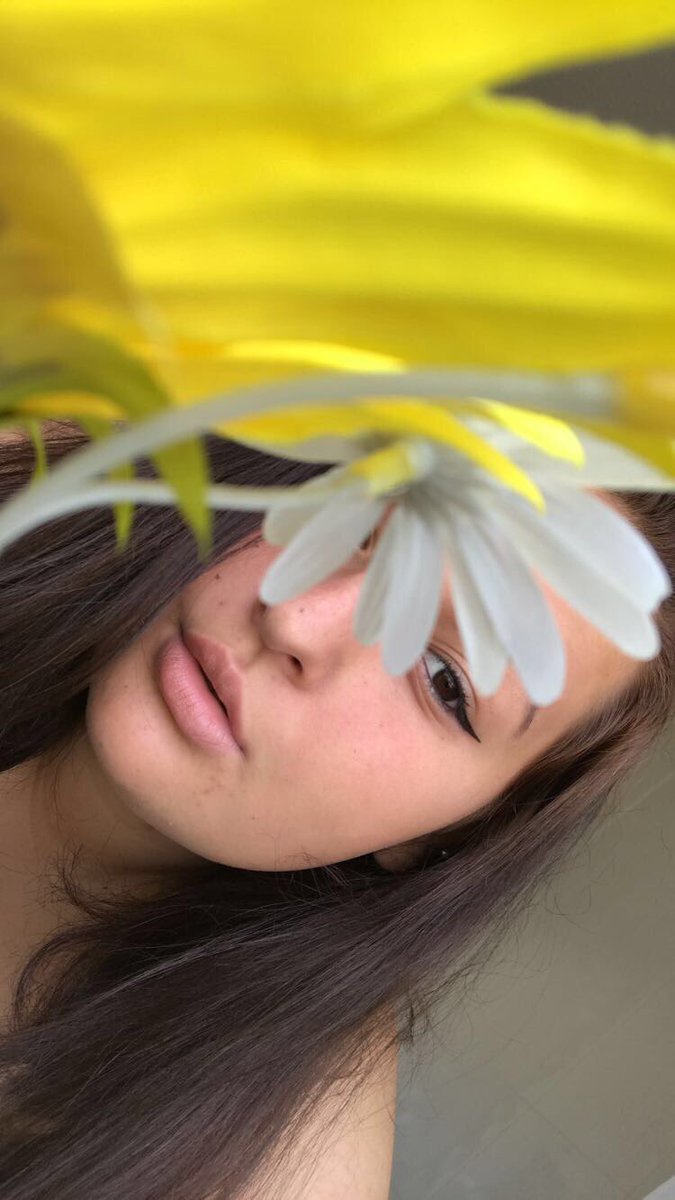 stungrose's tweet photo. Just a gay and some flowers 💐
#LGBTIQ #validLGBT #colourfulLGBT https://t.co/MSa2txYcGU