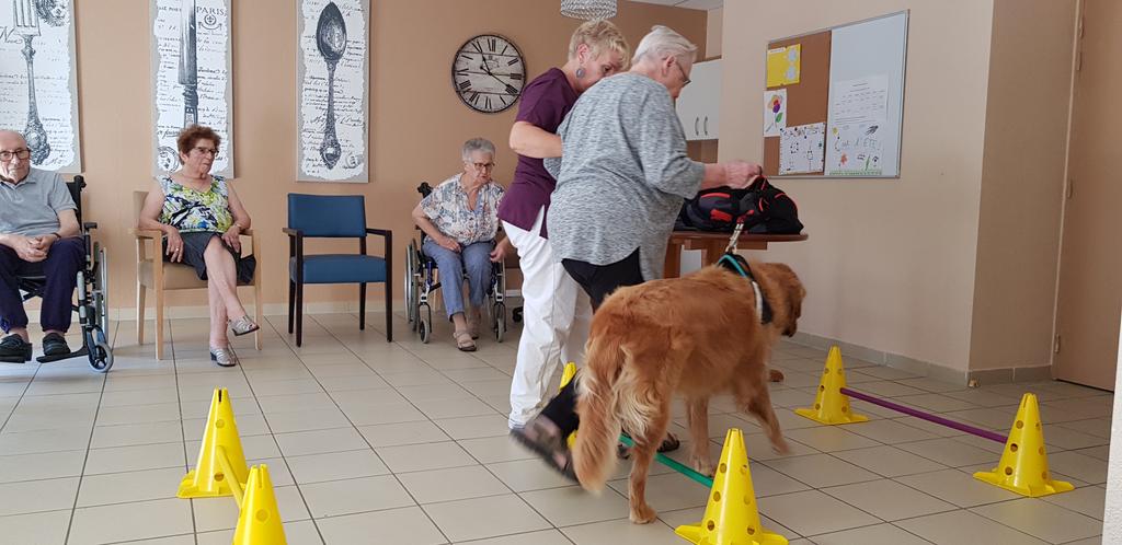 charlesapinel's tweet photo. Visite des équipes du Cap Siciė dans le Var qui proposent la médiation animale pour les résidents. Épatant. 
Au centre d'un projet d'établissement qui favorise l'estime de soi. Bravo aux équipes @_Groupe_Korian https://t.co/tJNKvEXEpc