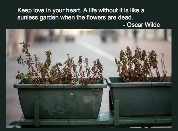 karendennison's tweet photo. Make life better. https://t.co/I19tEcGxi7
