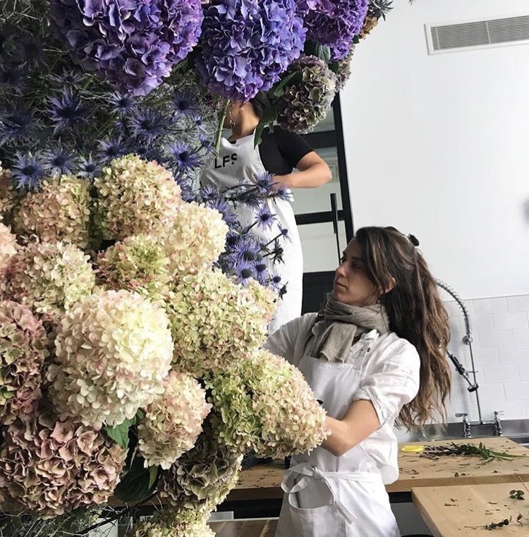 somoslifestyle tweet media