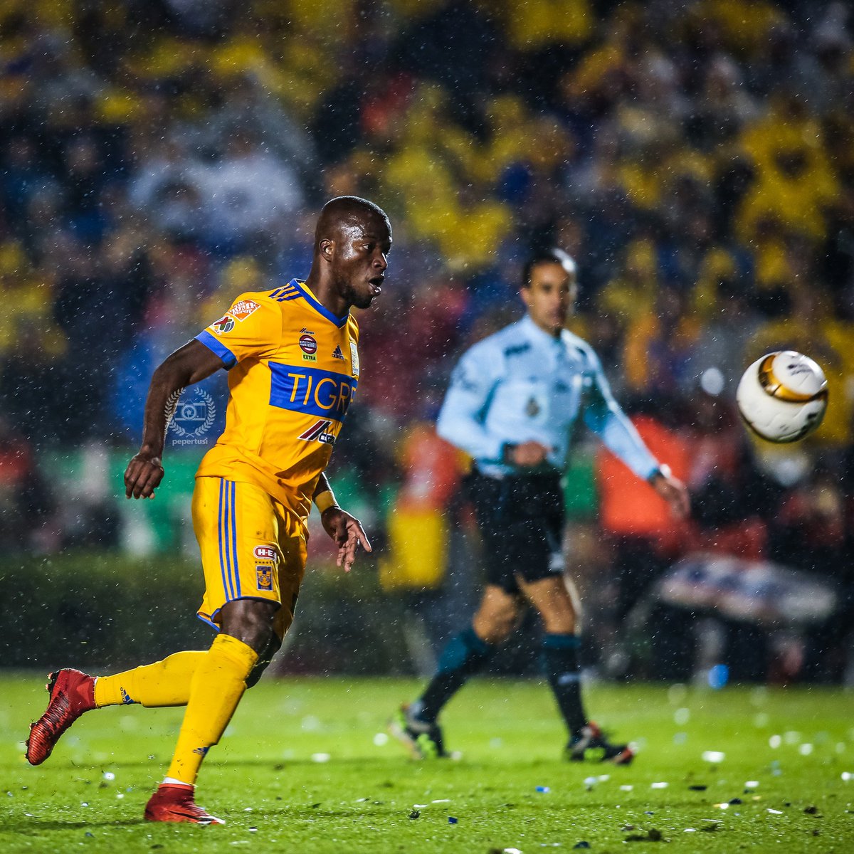 pepemacias_'s tweet photo. pica
⚽️📷💥
instagram 
@ pepertusi
🔁❤️ https://t.co/ASch36sigX