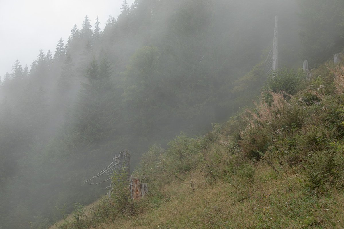 idnu_ch's tweet photo. Ein Wochenende auf dem Hasliberg: Da passt die Wanderung auf die Planplatten perfekt, aber über die wilde Südostseite.
#hasliberg #alpentower #haslital #berneroberland
https://t.co/aabSq6jXXK https://t.co/PlXxLphNLf