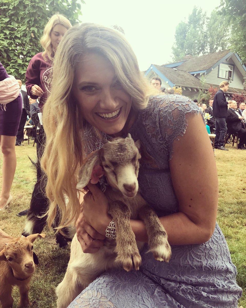 HeatherDoerksen's tweet photo. 10 days from now, baby goats shall descend upon your tv screens. I dare you to resist their charms. 
#allofmyheartthewedding #aomh3 #babygoats #caseyisback @BGrossbardProds @hallmarkchannel  @hallmarkmovie https://t.co/WIzoE13vtM
