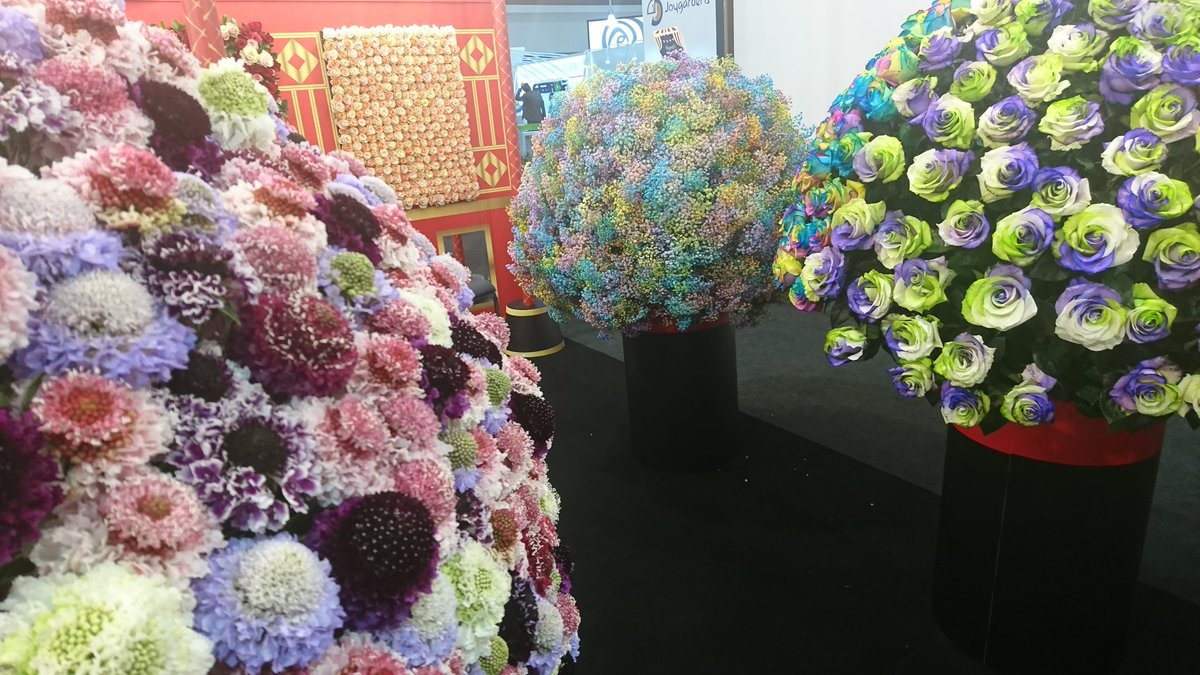SantiagoSaaEC's tweet photo. Beautiful flowers from #Ecuador in #ExpoFlor 2018 #Quito https://t.co/yndUf2JknK