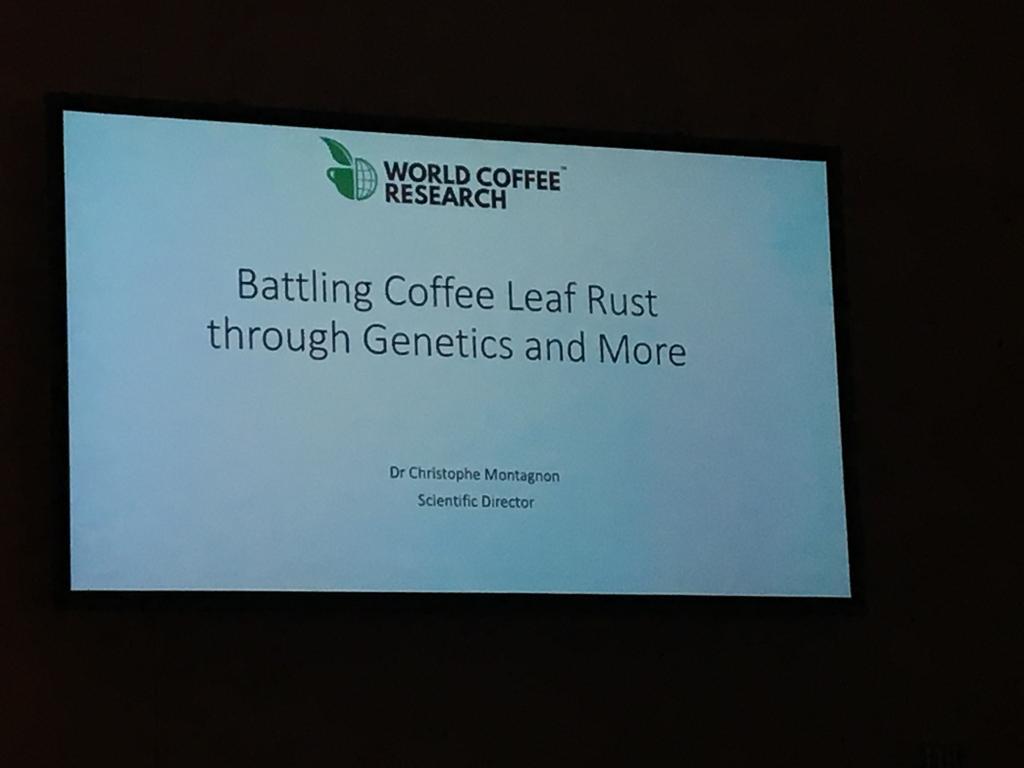 WCoffeeResearch's tweet image. Yay! It&apos;s time for WCR&apos;s Scientific Director, @christophemon , to take the stage to talk about Coffee Leaf Rust, and how to prevent it! #ASICPortland