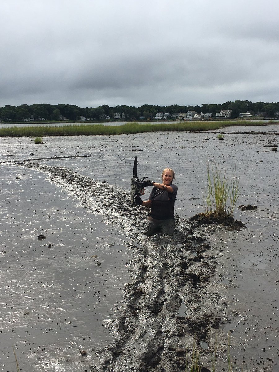 swampmonstah's tweet photo. Mud is temporary. Data is forever. @coastalgrp_whoi #hundredsamplesathundredacrecove https://t.co/iEe8Y5z8w8