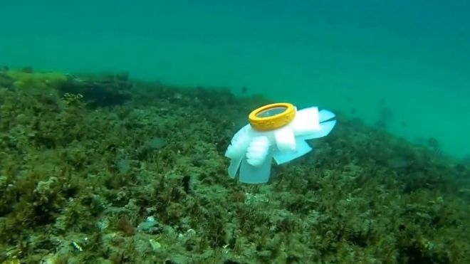 DavidCurnick's tweet image. How jellyfish #drones could be used to monitor endangered coral reefs bbc.co.uk/news/technolog… #coralreefs #conservationtechnology #ConsTech #dronesforconservation