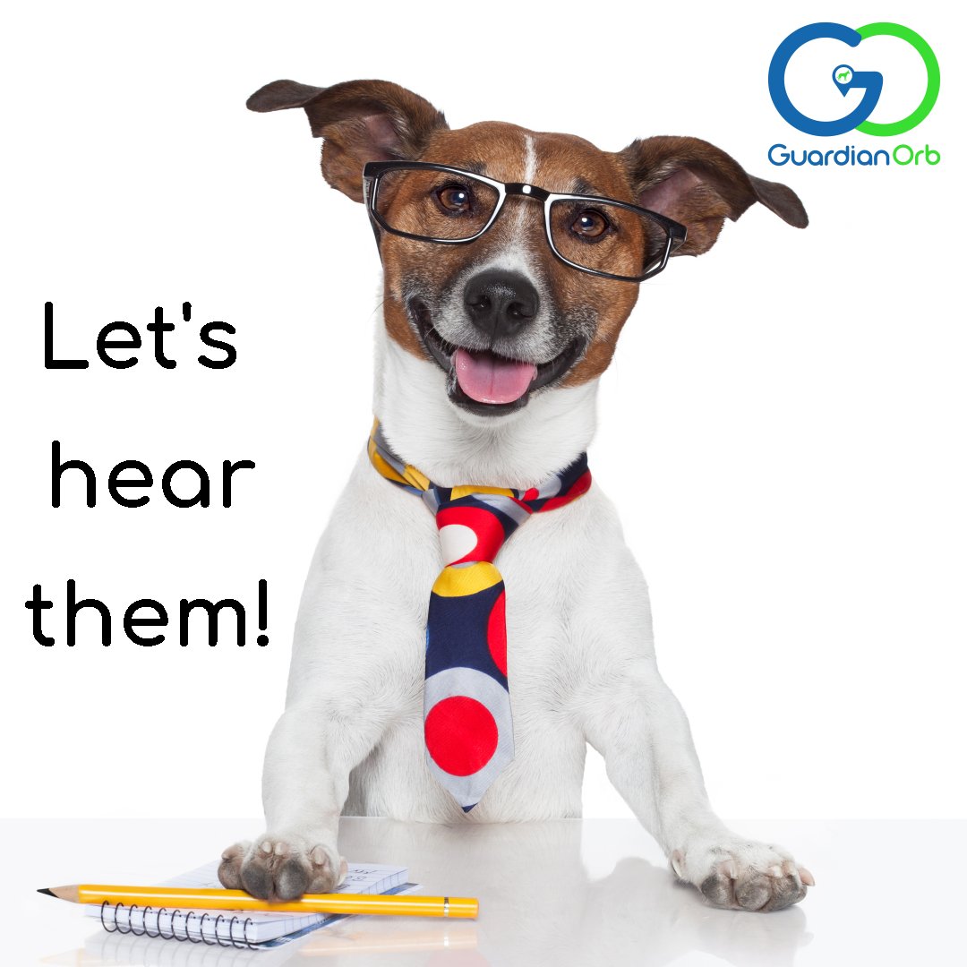 GuardianOrb's tweet photo. We want to get to know our furry fans. Tell us your dog's name in the comments!👇 https://t.co/t1DPUr8ghN