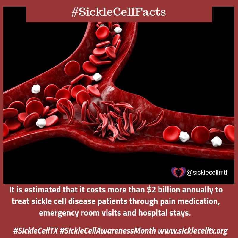 Sickle Cell Disease is a costly disease to treat. If you need help with medical referrals, medication prescriptions or just need a voice to vent to we are here. #sicklecellsupport #sicklecellawarenessmonth #sicklecelltx #sicklecellfacts