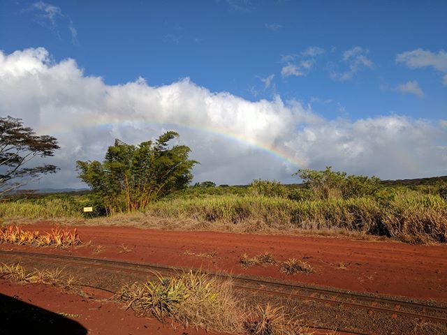 Who needs a rainbow today?  Have to love Hawaii for rainbows daily. ❤️❤️❤️ if you want more rainbows in your life. 
#hawaiibestphotos #hawaiivacation #Hawaiiphotography #travelphotography #travelphotographyoftheday #traveltherenext #madmadviking … ift.tt/2xrqhyN