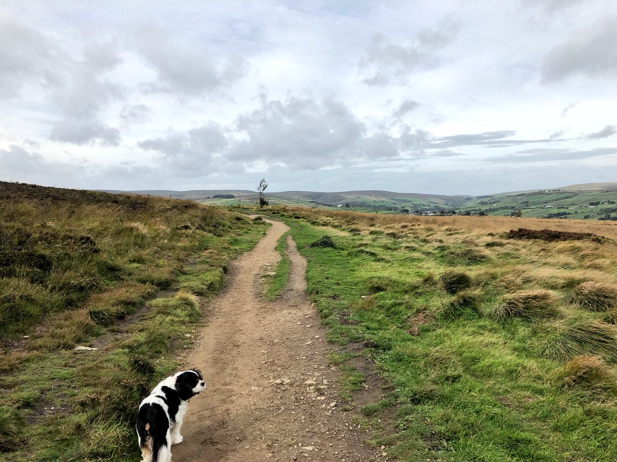 In Brontë Country. It’s been a pretty wuthering day!