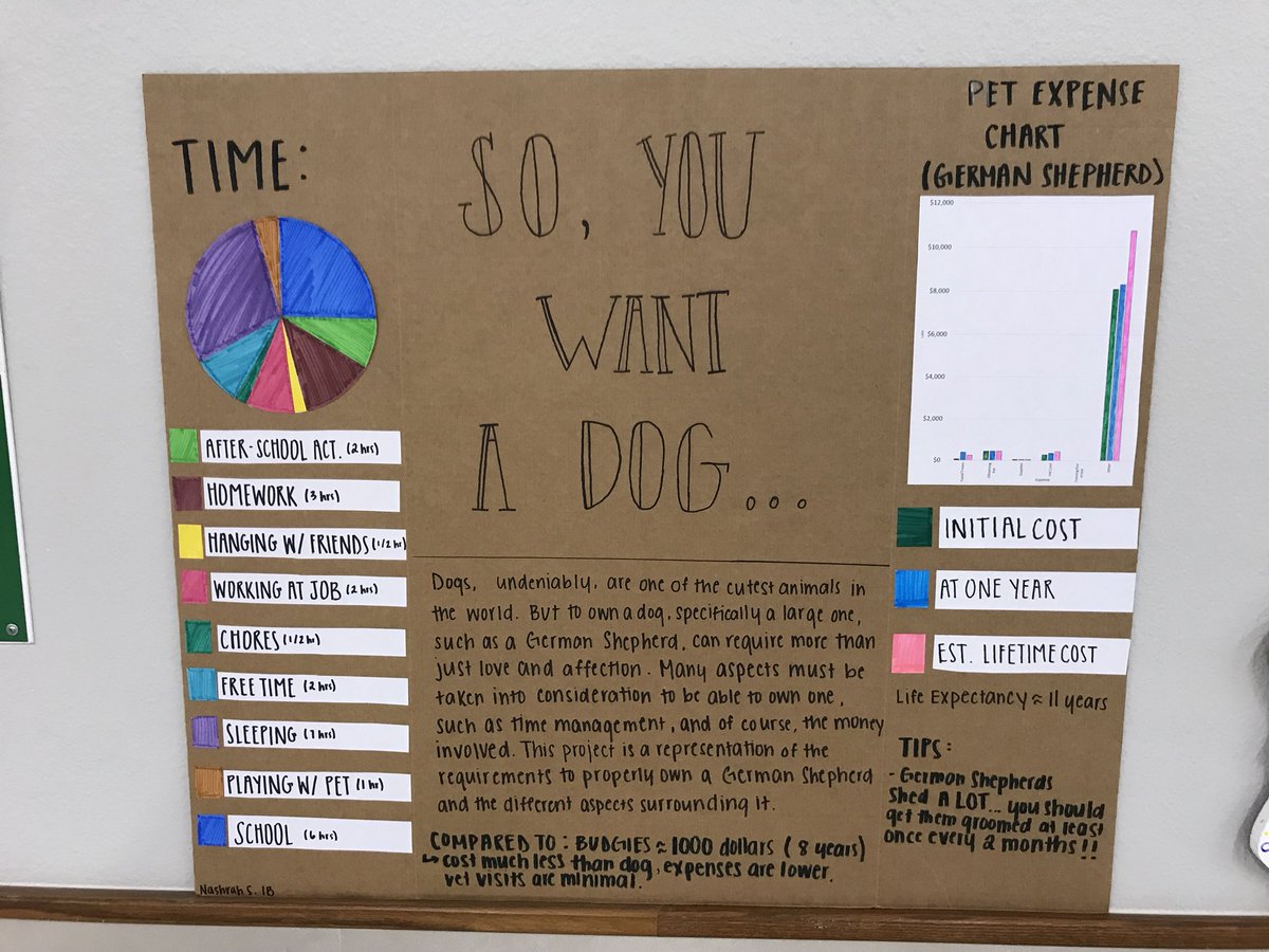 Thinking about getting a pet? Can you afford a pet? Do you have the time for a pet? Check out this awesome informational  PSA done by one of our students.
Know before you go get a pet!