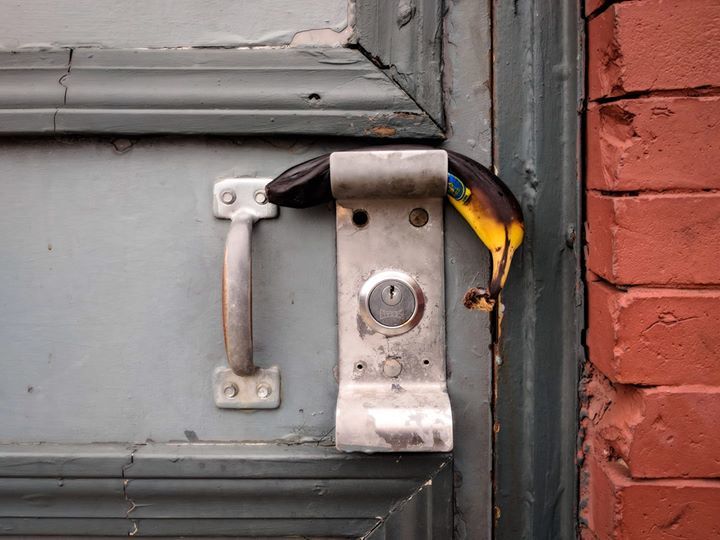 Ryan Pease tweet media