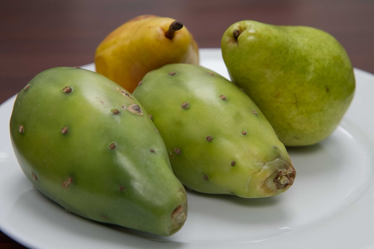 La esencia de nuestros platillos. #ingredientes #platillos #Carlota #SanÁngel