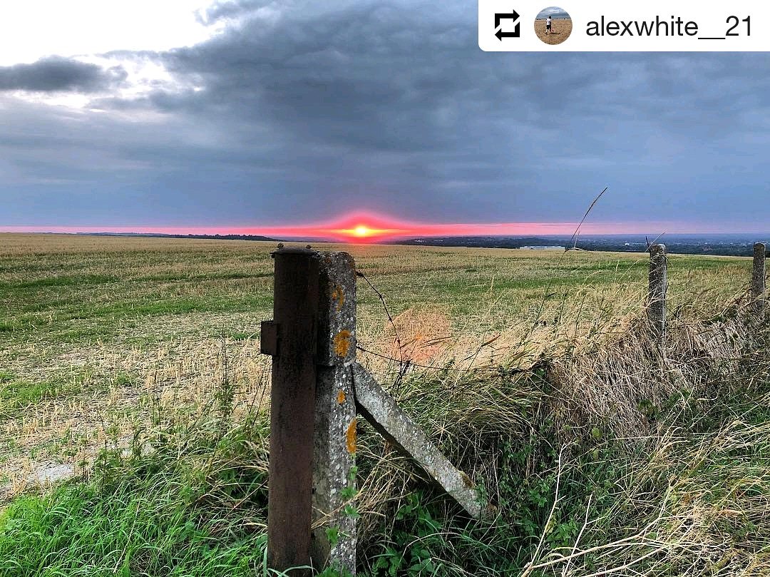 Night Night #Swindon Please follow our #we_are_swindon Instagram page to help us reach 2️⃣,0️⃣0️⃣0️⃣ followers #positiveswindon instagram.com/p/Bn6vlhelimb/…