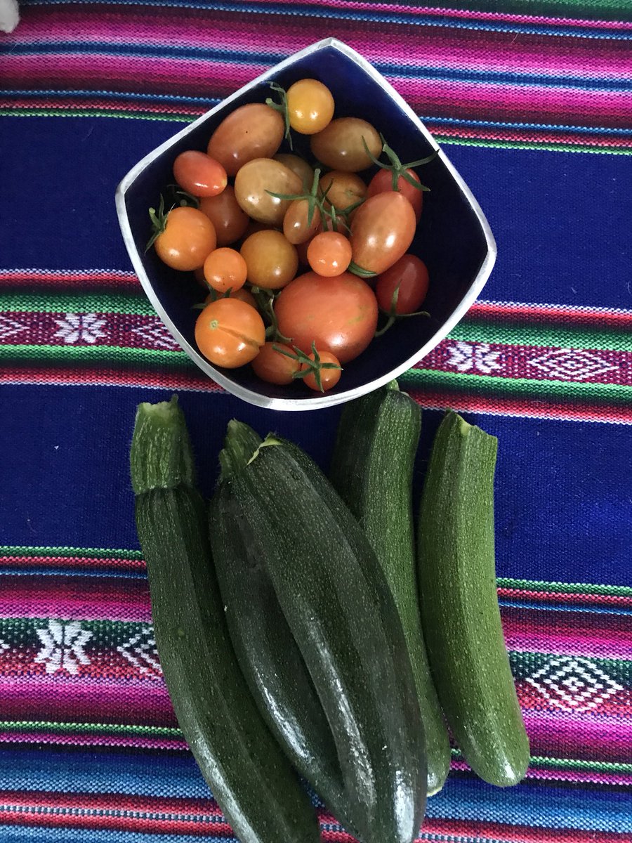 kimingleby's tweet photo. Hows your meal prep & ideas? This is me tonight.... Home grown veggies, going to turn into tabouleh, grilled courgettes with lime & garlic with local chicken breaststroke & rosemary 💙any questions? Kim 💫 #kimskitchen #nutrition #dnafit https://t.co/UJiOa36EO4