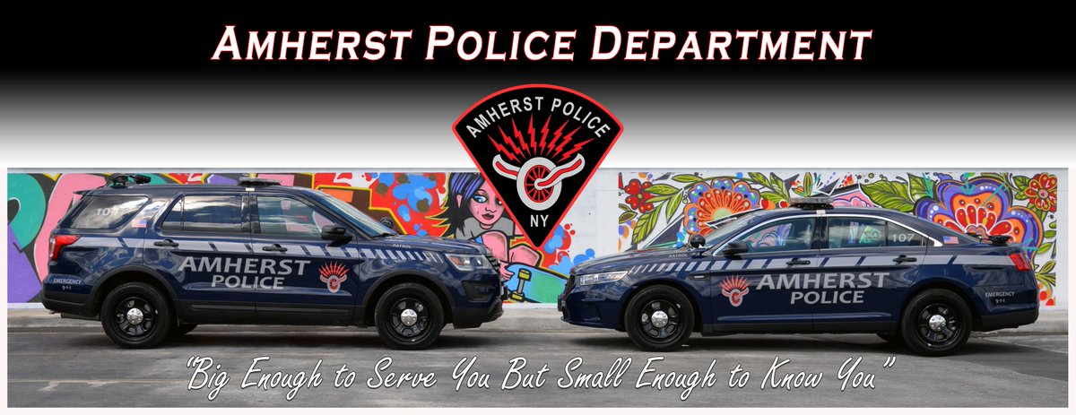 amherstpoliceny's tweet photo. [AMHERST POLICE, NY\ -- Newly Designed Amherst Police cars photographed at the Alix Rice Peace Park. Photo by Officer Craig Johnson. https://t.co/jQu8Met2r2