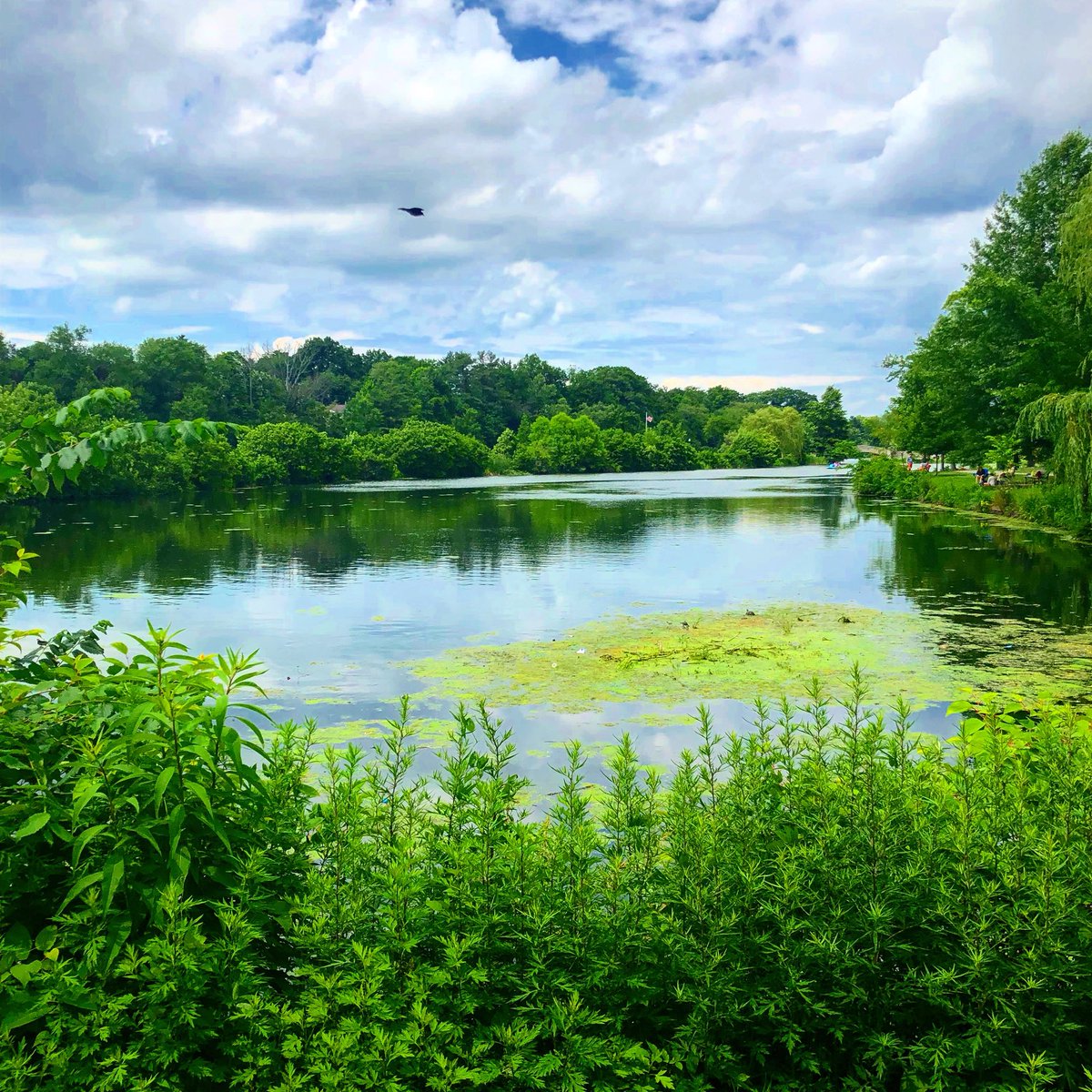 HelloSuburb's tweet image. Taking in beautiful mid-week scenes like this near an #Airbnb in Verona, #NJ. #airbnbhost #rental #realestatemarketing #RealEstateNews #revenuemanagement #Consultant #Businesses