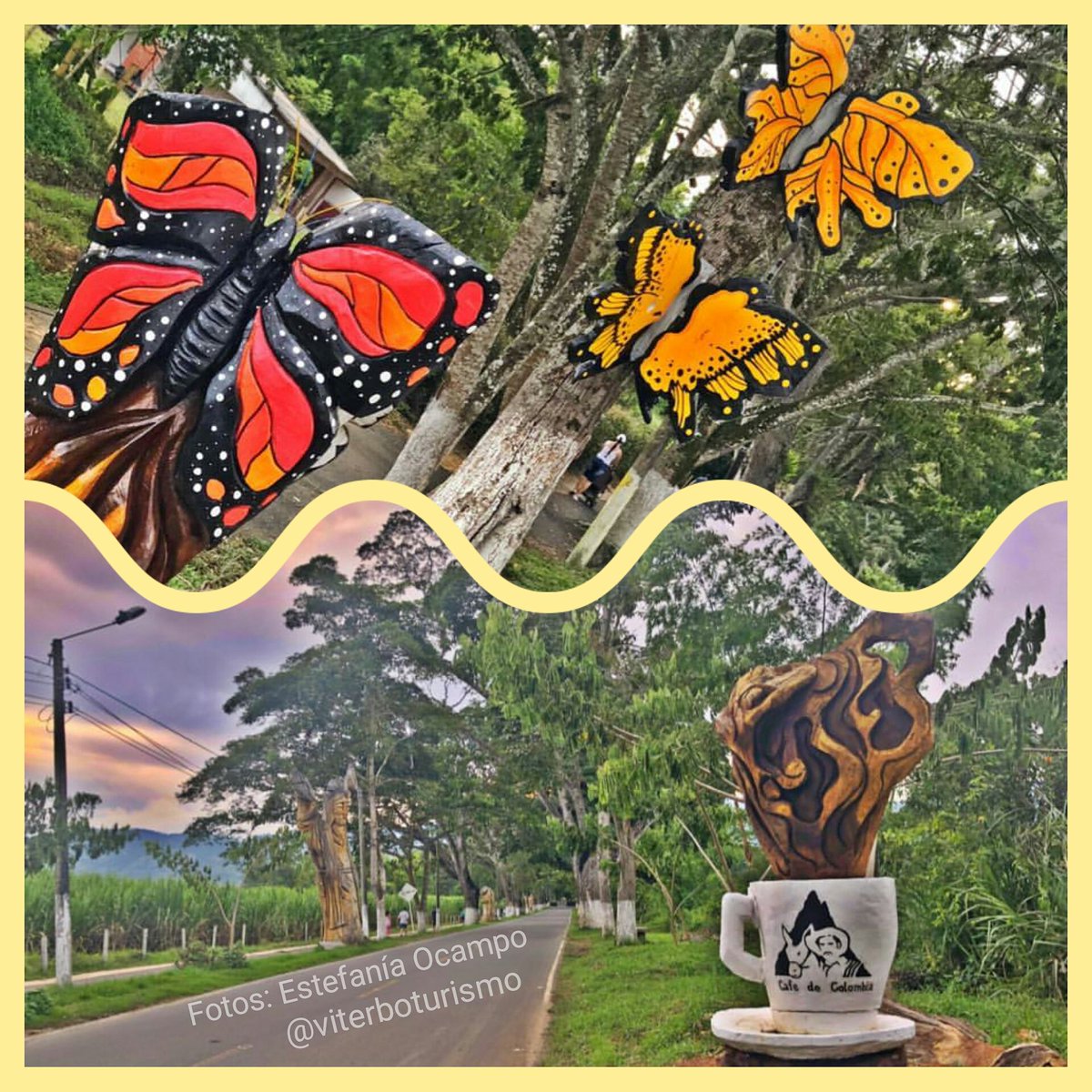 Viterboturismo's tweet photo. 🦋☕ Somos PCC Viterbo Caldas Colombia #paisajeculturalcafetero #PCC  @AmaliaVsquez3 @Calidad_Turismo @pctvalenzuela @GuidoEcheverri @CotelcoCaldas @GoberCaldas @CCManizales @FenalcoCaldas @AcopiCaldas @udecaldas @AsdeguiasCaldas https://t.co/uAzFEM45rU