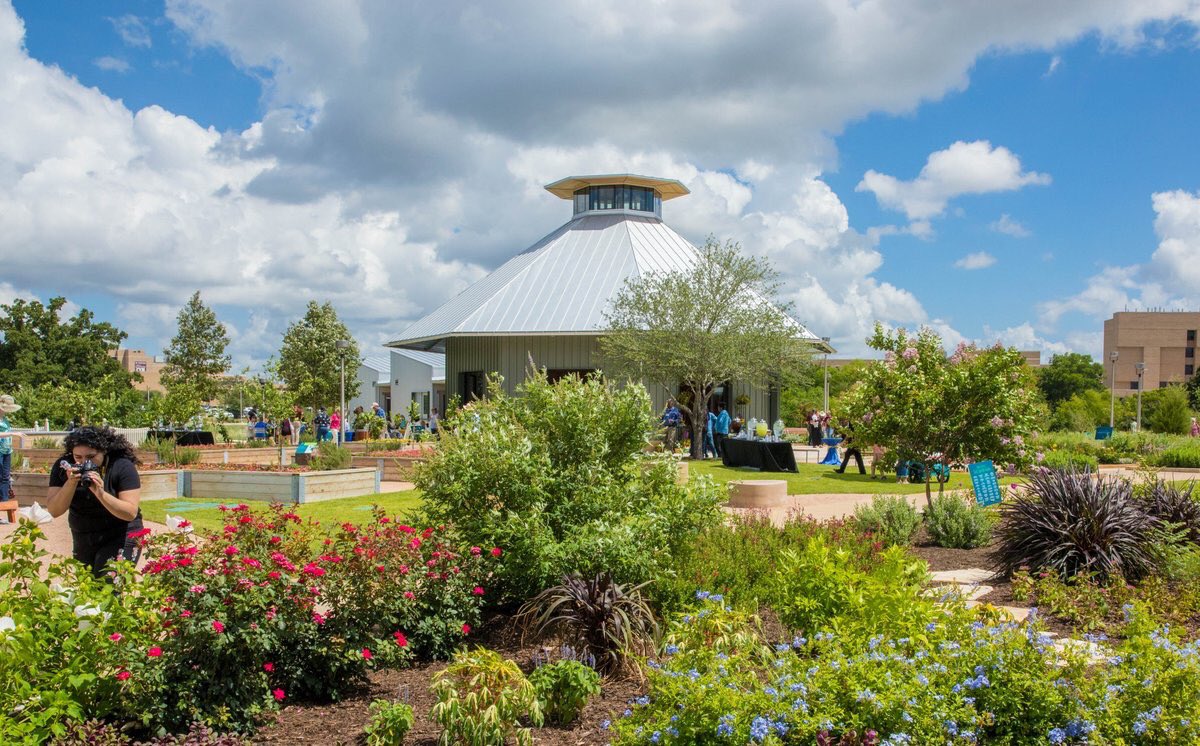 View through the gardens to the pavilion
