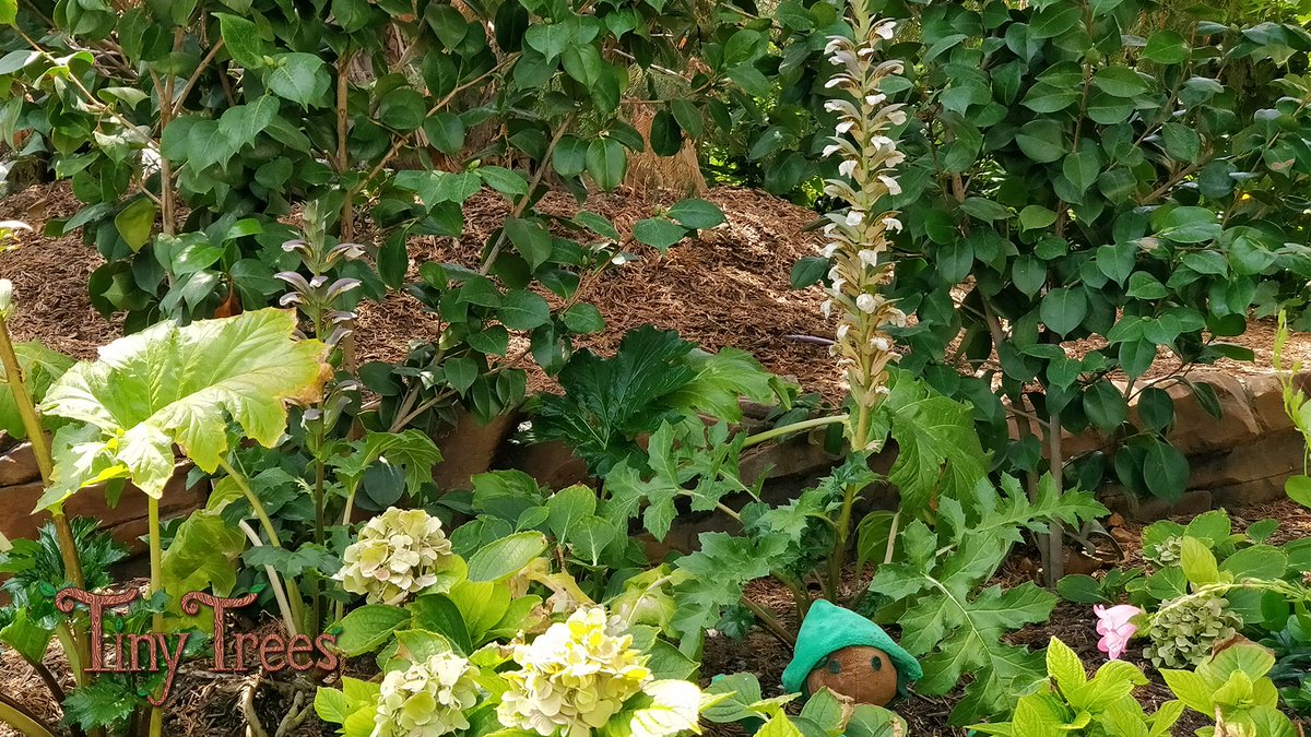 Fisaven has been out and about playing hide and seek! Can you spot our favorite God of Growth? 

#indiedev #boardgame #gamedev