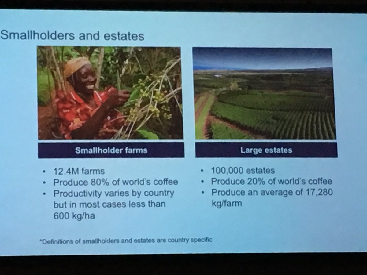 KrishnanSarada's tweet image. Smallholder farmers produce about 80% of global coffee production. To make coffee sustainable, we need to provide these farmers with the tools to be successful #ASICPortland #coffee