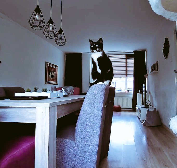 GewoonRobin's tweet image. Gesport op de camera! Opgenomen beeldje van vanmiddag. #Foscam