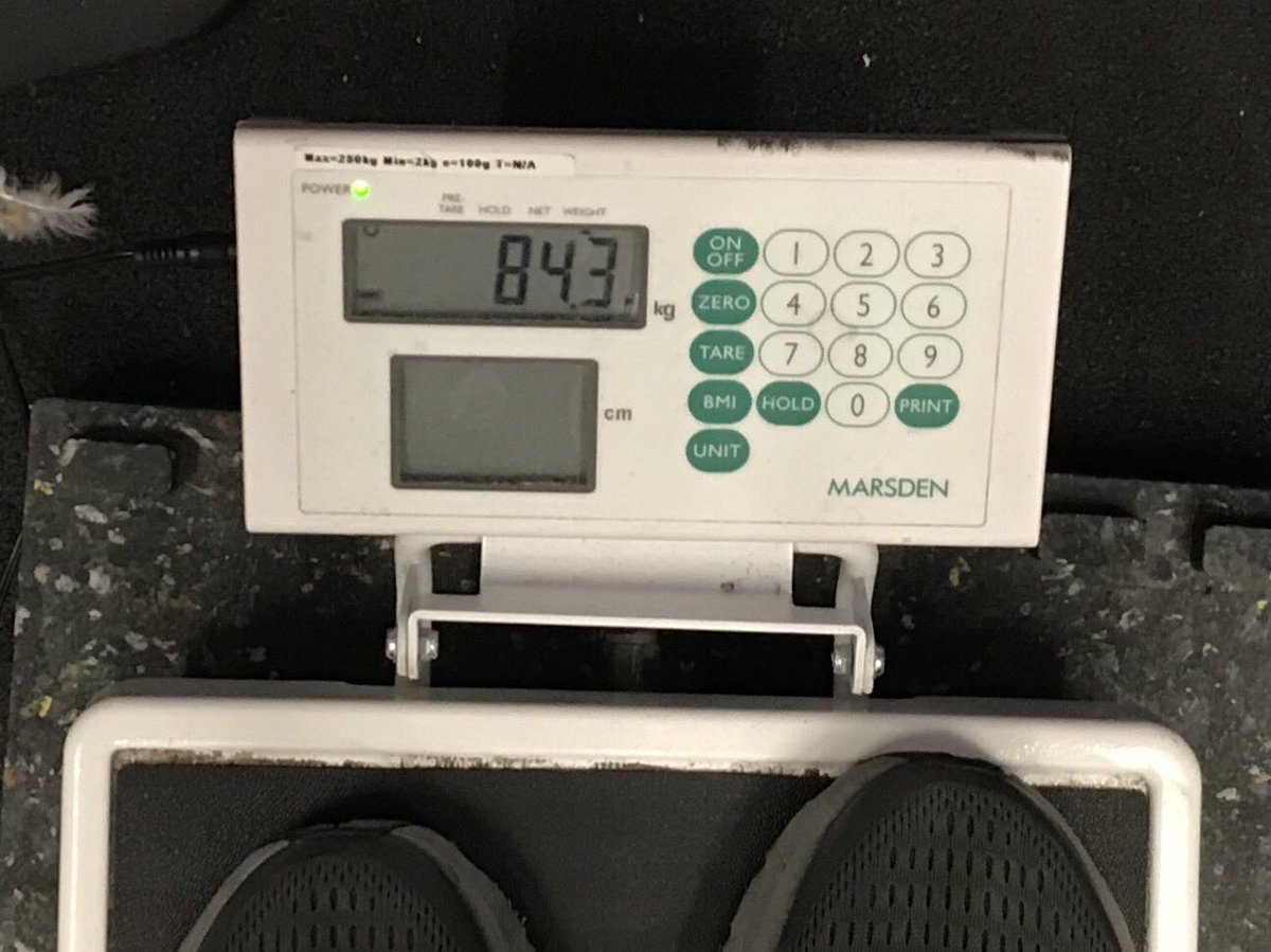 Nao__Okumura's tweet image. ARM  DAY
1週間ぶり
ラストスパート

#powerbase