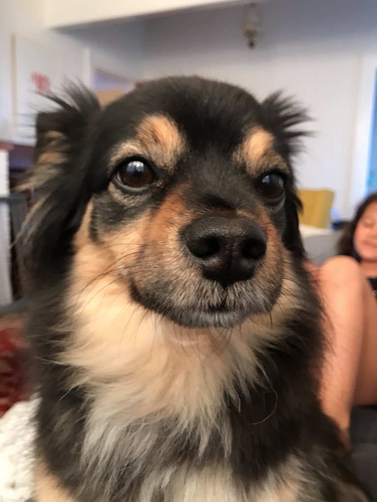 Dylan Wood tweet media