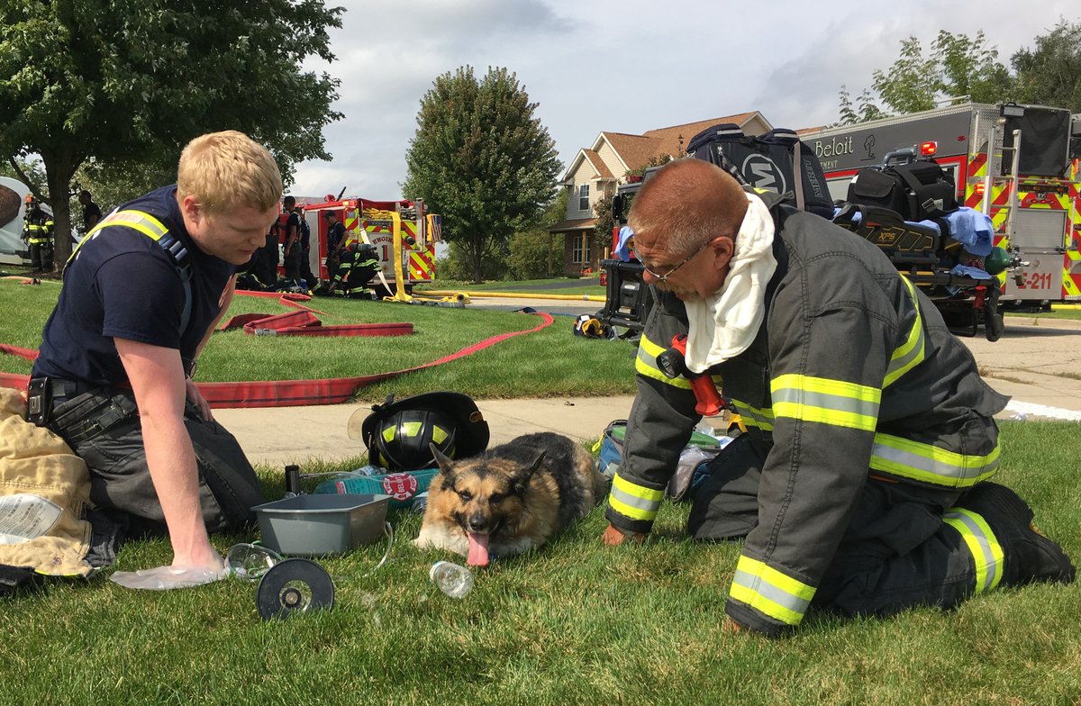 BeloitFire's tweet image. We provided medical treatment to 3 dogs and 1 cat that were home during a fire on Deer Path Way. 1 other dog was turned over to the owner. Sadly, a second cat did perish in the home.

More info is on our Facebook page: facebook.com/BeloitFireDepa…