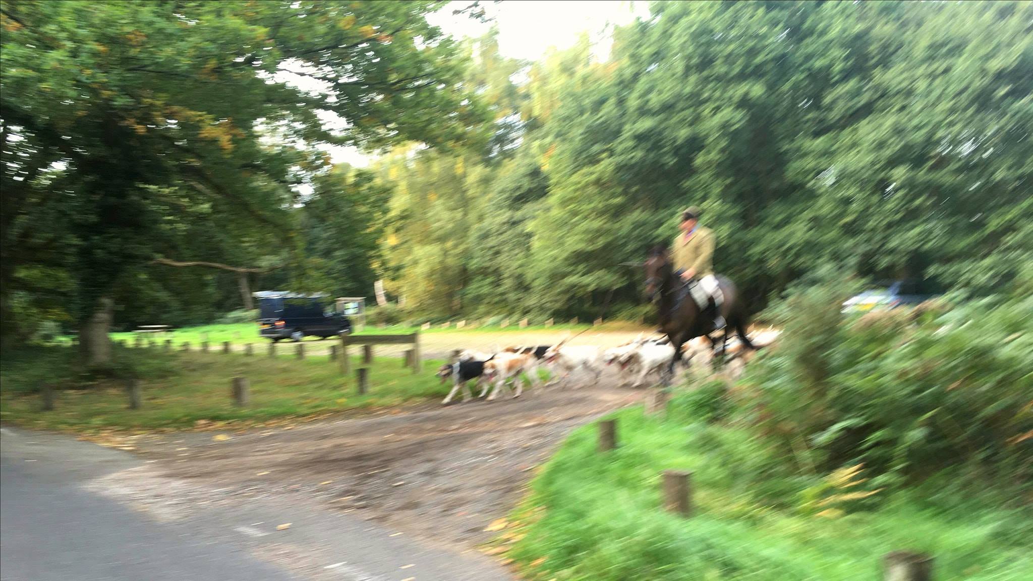 Guildford Hunt Sabs on Twitter "Guildford & North Downs Sabs caught