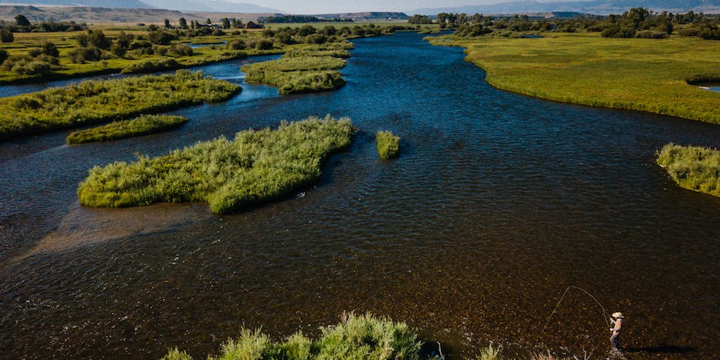 TandTFlyFishing's tweet photo. Montana, so much water to fish and wilderness to explore. Have a great story about fishing in Montana? Share it below!
Photo via T&T Creative Pro @arkfilms_dp
-The Rod You Will Eventually Own-
#thomasandthoasflyrods #TRYWEO #flyfishing #flyrods #handcraftedtoperfection #arkfoto https://t.co/ZsEB57QYe3