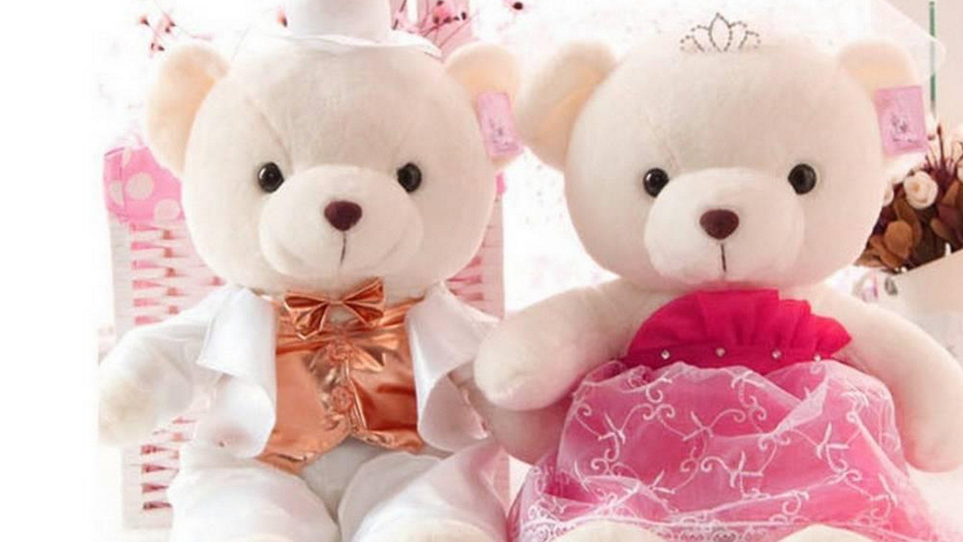 Cute teddy pics download 2025