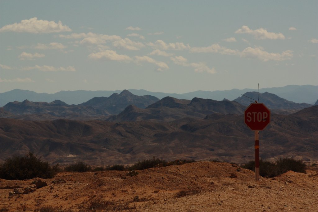 BaileyQuest_'s tweet photo. Desert Knights – a bucketlist adventure https://t.co/PzluxTvKFd https://t.co/3dAmOSAk2j