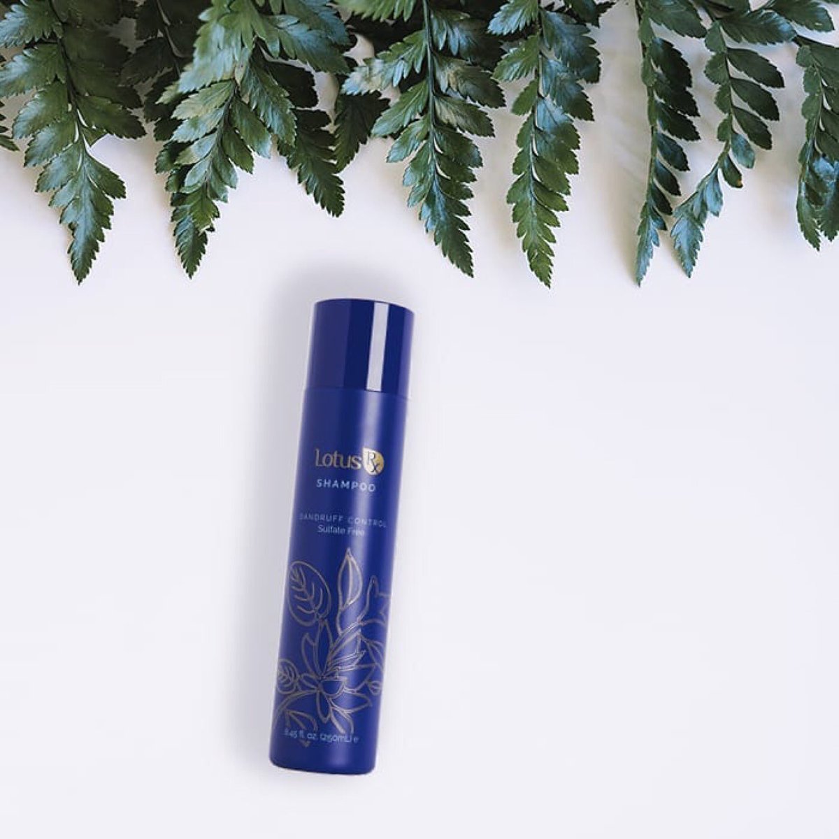 56 countries, 1500+ brands @cosmoprofna and only 6 chosen for the #caringbeauty recognition for #ecofriendly, #nontoxic #sustainable beauty. We couldn’t be more thrilled! 💚💚💚💚💚