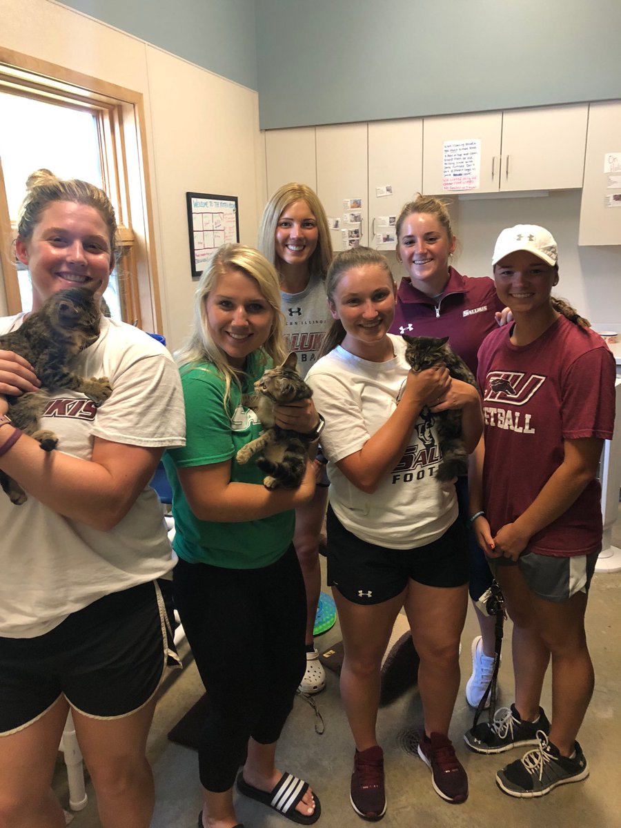 CoachJenSewell's tweet photo. .⁦@meredith_wernig⁩ sent me this in the middle of a crazy day. Our ⁦@SIU_Softball⁩ team at ⁦@stfrancis_care⁩ shelter! These kitty cats seem to be enjoying the cuddles #BeInService https://t.co/S6UWLylHWL