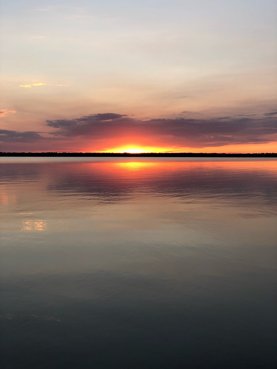 Curtis L Howard tweet media