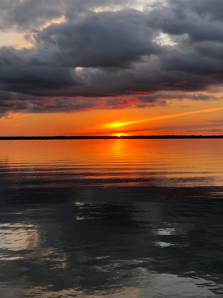 Curtis L Howard tweet media