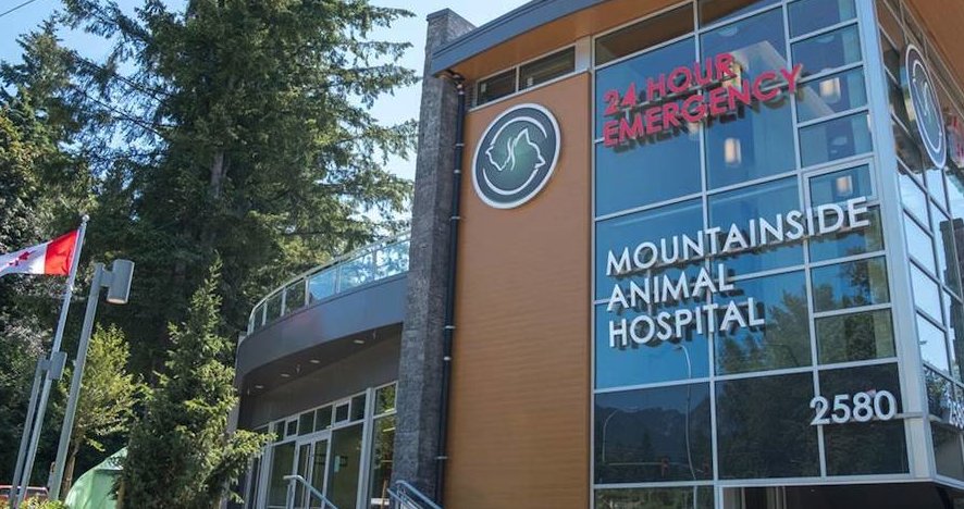 Mountainside Animal Hospital (@mountainside247) / Twitter Mountainside Animal Hospital (@mountainside247) / Twitter