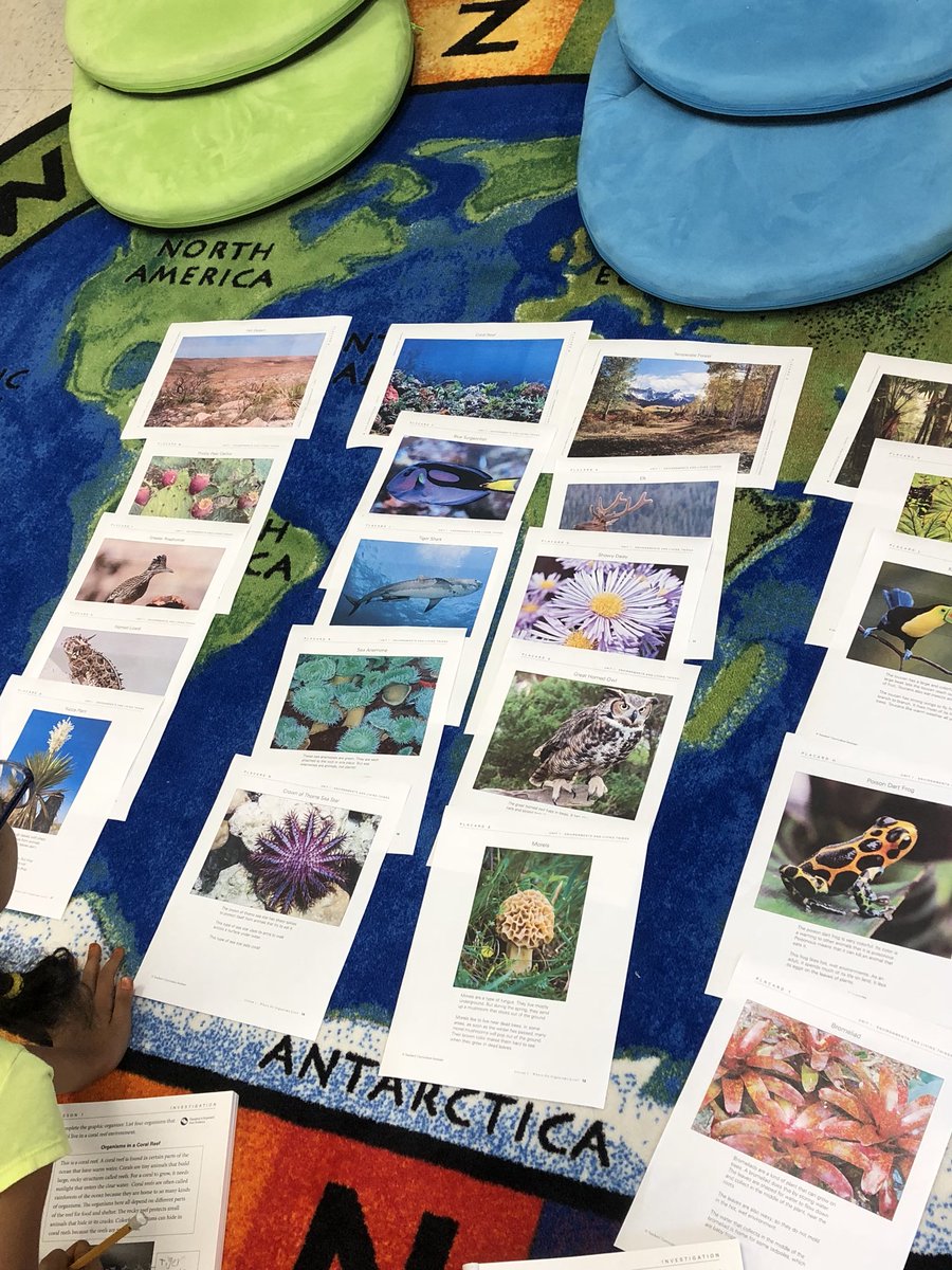 MrsElayan213's tweet image. Classifying organisms in their environments. #cridgepride #thirdgradescientists