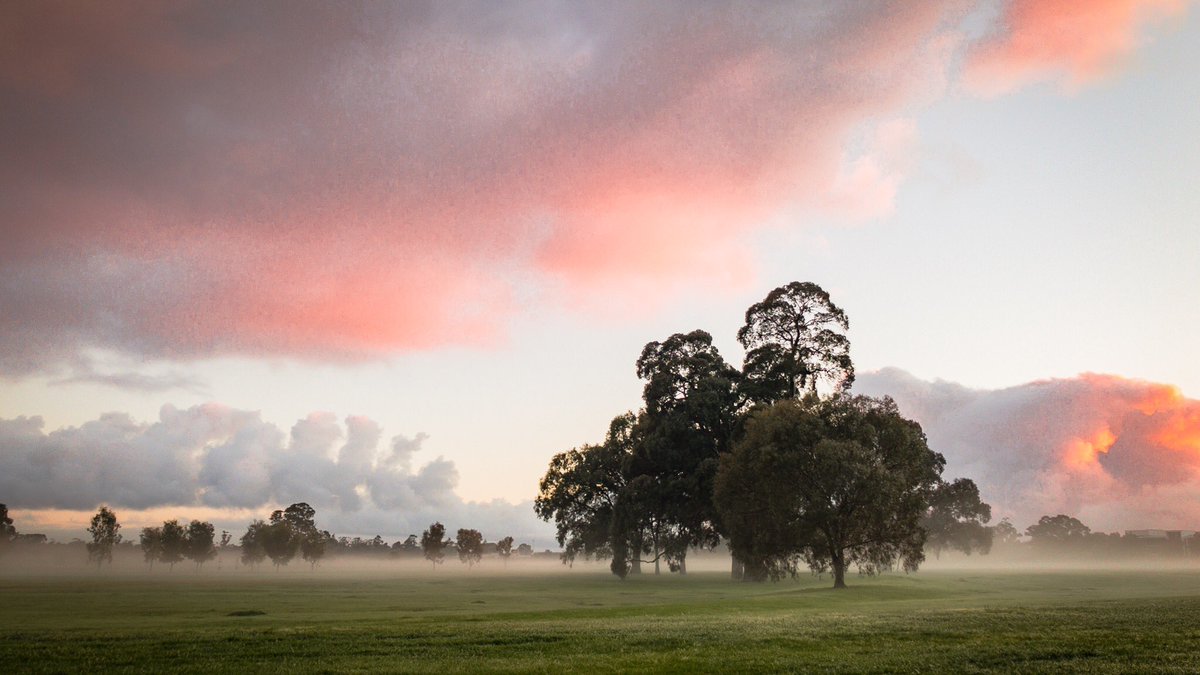 angusmeek's tweet photo. First Light. Victoria Park/Pakapakanthi #photo https://t.co/PI6iECTxeZ
