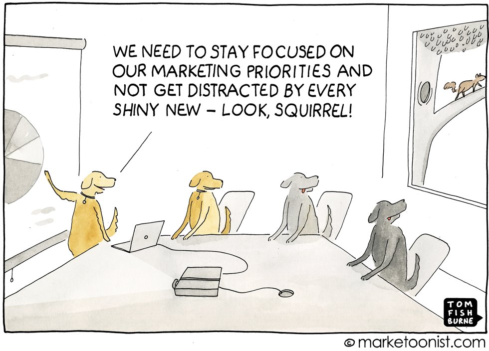 SERPRaider's tweet photo. We promise you our experts are "a bit more" focused than these guys... 😄
"SQUIRREL"! 

https://t.co/44sGMKzQhJ https://t.co/aNtHwH1u8y